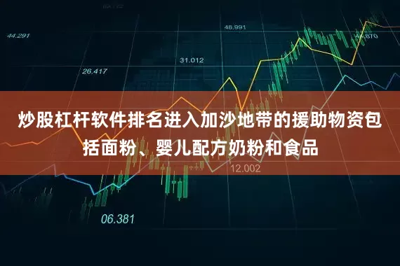 炒股杠杆软件排名进入加沙地带的援助物资包括面粉、婴儿配方奶粉和食品
