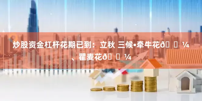 炒股资金杠杆花期已到：立秋 三候•牵牛花🌼、瞿麦花🌼