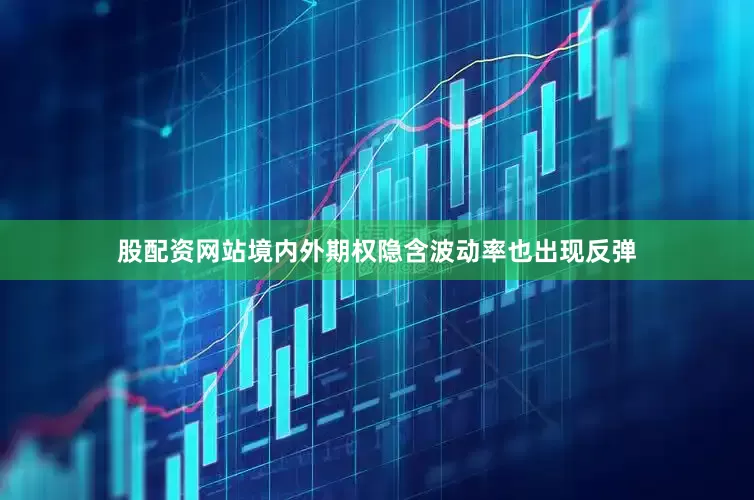 股配资网站境内外期权隐含波动率也出现反弹