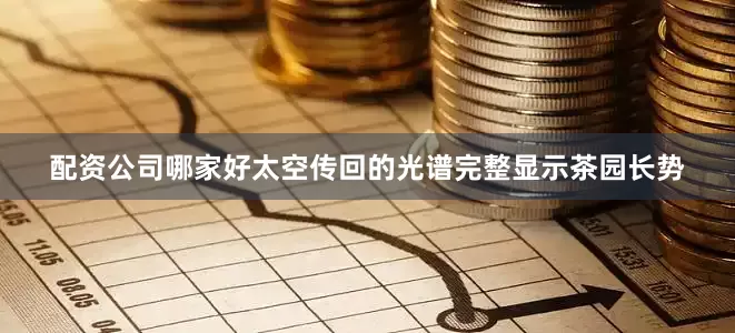 配资公司哪家好太空传回的光谱完整显示茶园长势