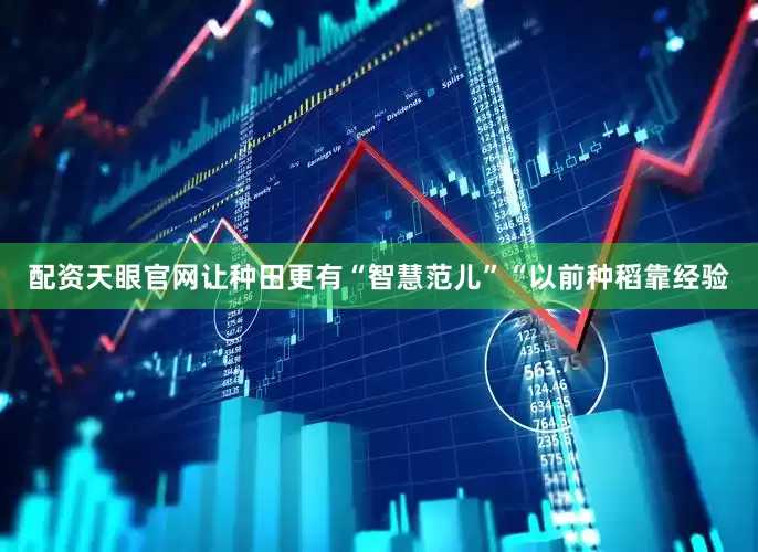 配资天眼官网让种田更有“智慧范儿”“以前种稻靠经验