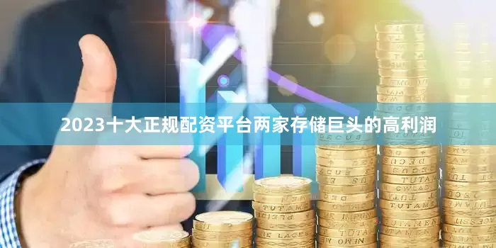 2023十大正规配资平台两家存储巨头的高利润