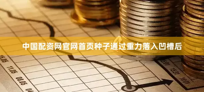 中国配资网官网首页种子通过重力落入凹槽后